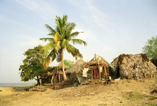 room 4